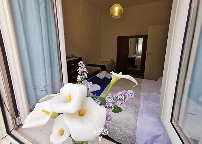 La Suscella Bed and breakfast Torchiara